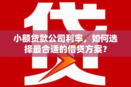 威宁小额贷款公司利率，如何选择最合适的借贷方案？
