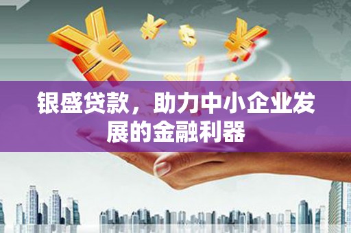 威宁银盛贷款，助力中小企业发展的金融利器