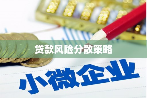 威宁贷款风险分散策略