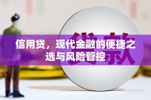 威宁信用贷，现代金融的便捷之选与风险管控
