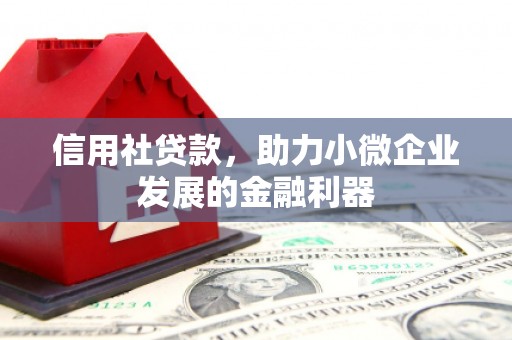 威宁信用社贷款，助力小微企业发展的金融利器