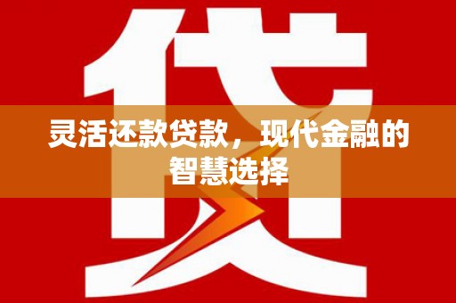 威宁灵活还款贷款，现代金融的智慧选择