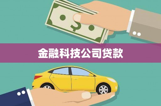威宁金融科技公司贷款