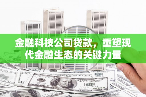 威宁金融科技公司贷款，重塑现代金融生态的关键力量