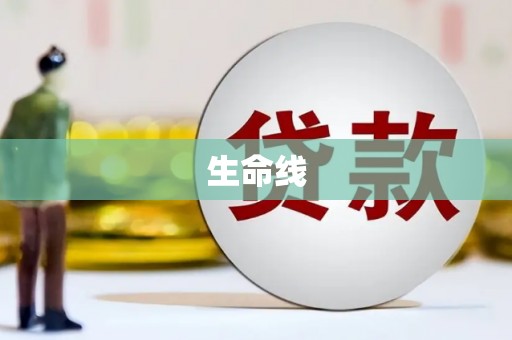 威宁生命线