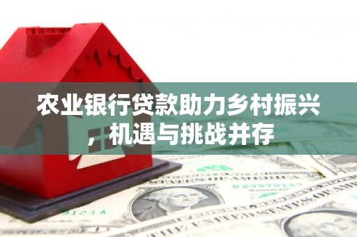 威宁农业银行贷款助力乡村振兴，机遇与挑战并存