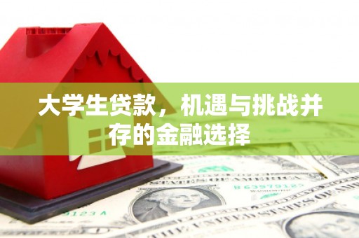 威宁大学生贷款，机遇与挑战并存的金融选择