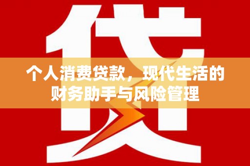威宁个人消费贷款，现代生活的财务助手与风险管理