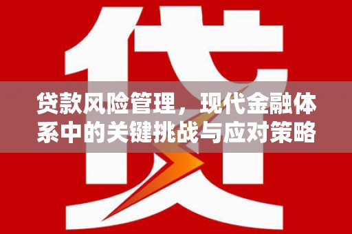 威宁贷款风险管理，现代金融体系中的关键挑战与应对策略
