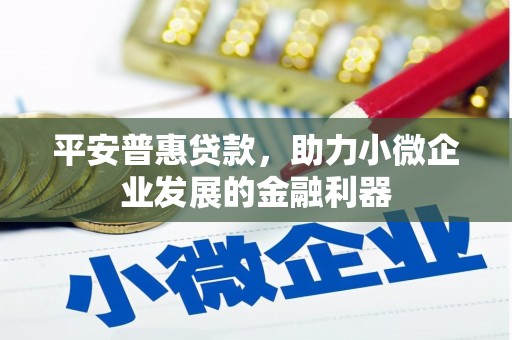 威宁平安普惠贷款，助力小微企业发展的金融利器