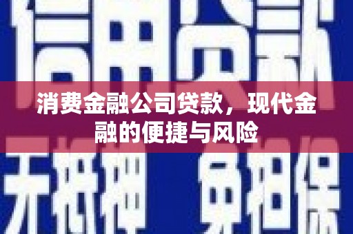 威宁消费金融公司贷款，现代金融的便捷与风险