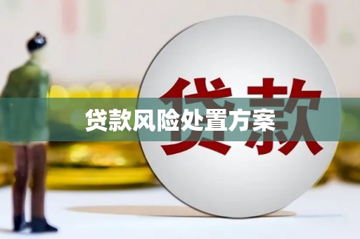 威宁贷款风险处置方案