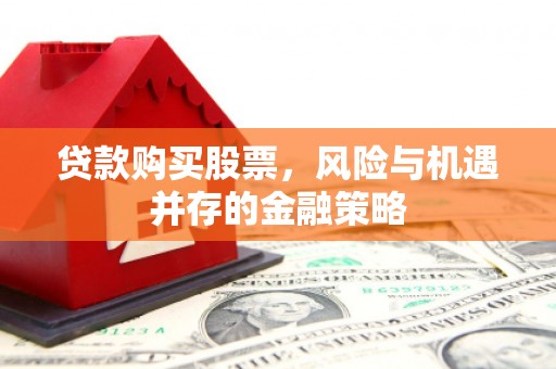 威宁贷款购买股票，风险与机遇并存的金融策略