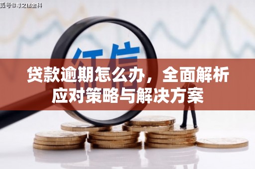 威宁贷款逾期怎么办，全面解析应对策略与解决方案