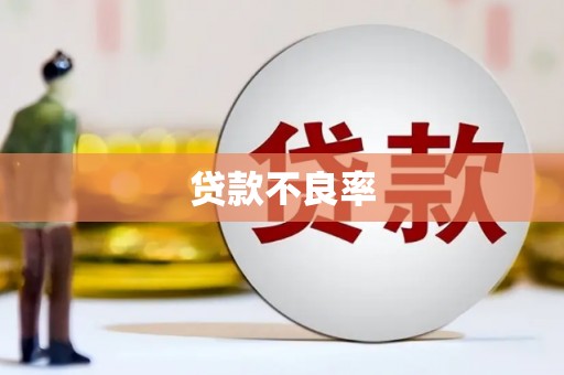 威宁贷款不良率