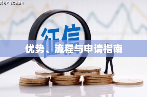 威宁优势、流程与申请指南