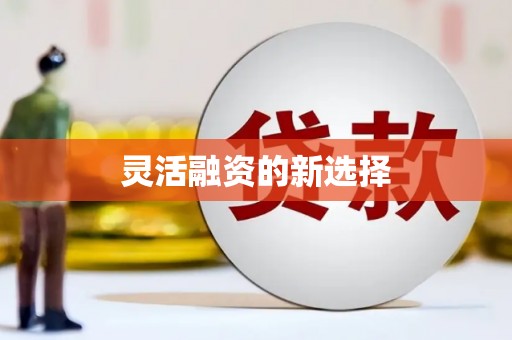威宁灵活融资的新选择