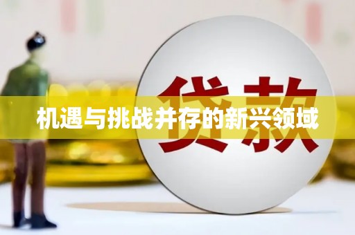 威宁机遇与挑战并存的新兴领域