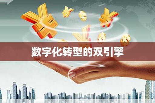 威宁数字化转型的双引擎