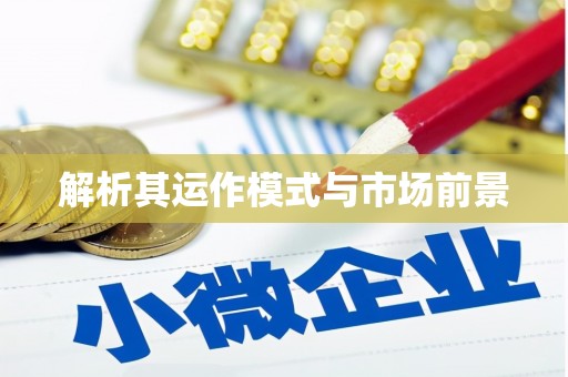 威宁解析其运作模式与市场前景