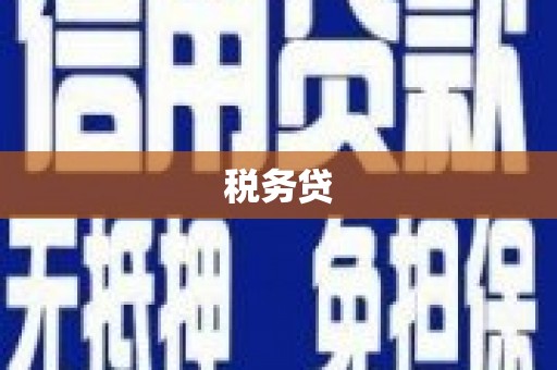 威宁税务贷