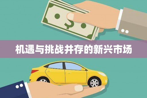 威宁机遇与挑战并存的新兴市场