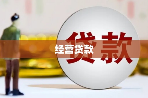 威宁经营贷款