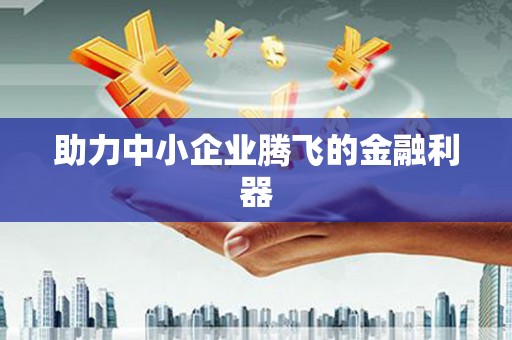 威宁助力中小企业腾飞的金融利器