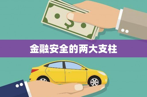 威宁金融安全的两大支柱