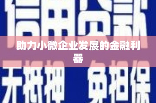 威宁助力小微企业发展的金融利器