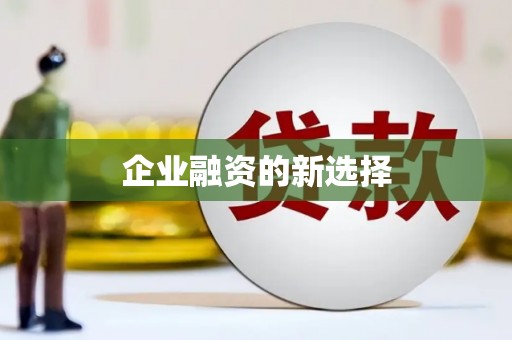 威宁企业融资的新选择