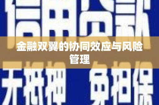 威宁金融双翼的协同效应与风险管理
