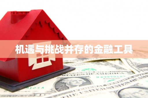威宁机遇与挑战并存的金融工具