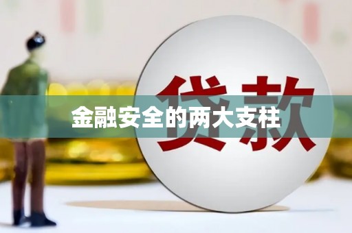 威宁金融安全的两大支柱