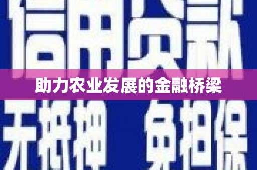 威宁助力农业发展的金融桥梁