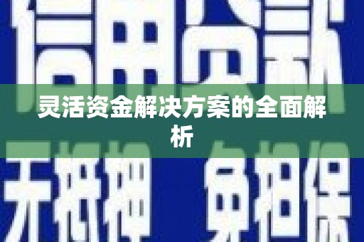 威宁灵活资金解决方案的全面解析