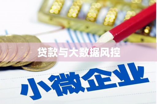 威宁贷款与大数据风控