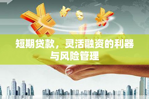 威宁短期贷款，灵活融资的利器与风险管理