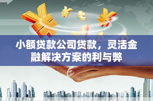 威宁小额贷款公司贷款，灵活金融解决方案的利与弊