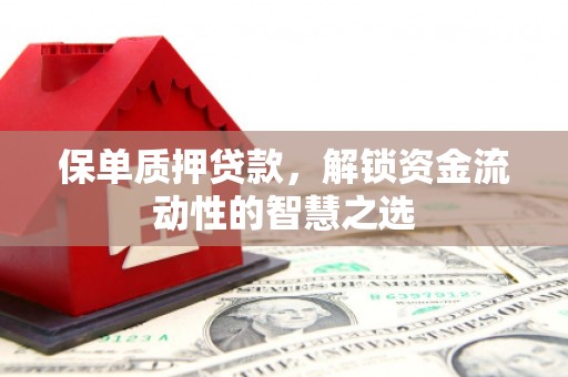 威宁保单质押贷款，解锁资金流动性的智慧之选