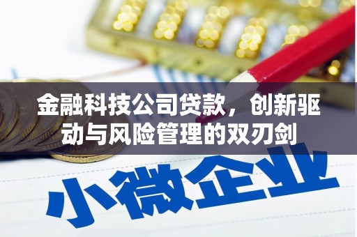 威宁金融科技公司贷款，创新驱动与风险管理的双刃剑